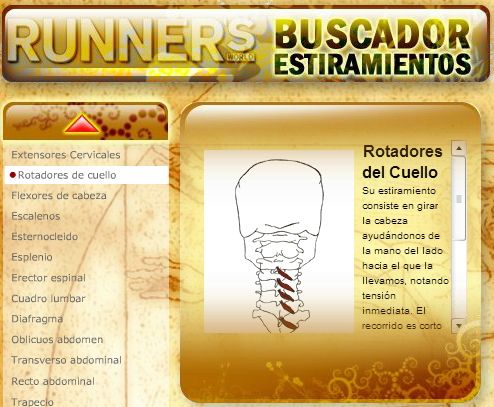 Buscador de estiramientos
