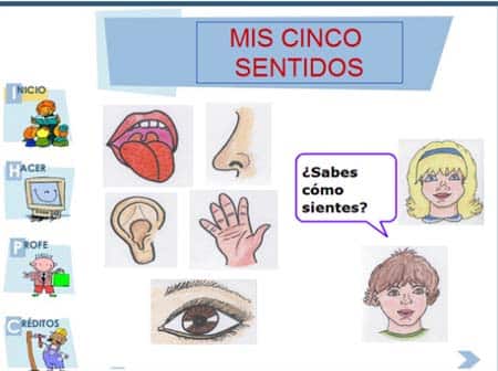 Recursos para trabajar los sentidos