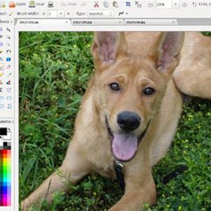 Pinta editar fotos gratis