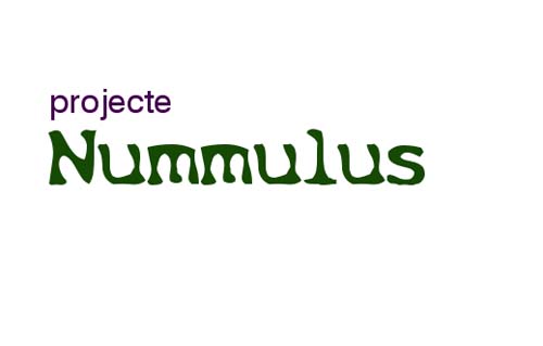 Logotipo proyecto nummulus
