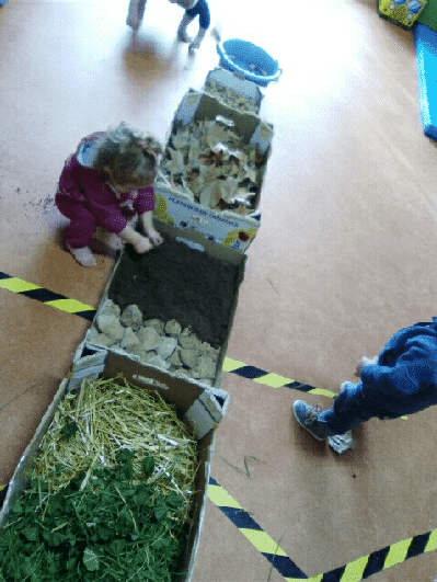 Naturaleza primer ciclo de Infantil