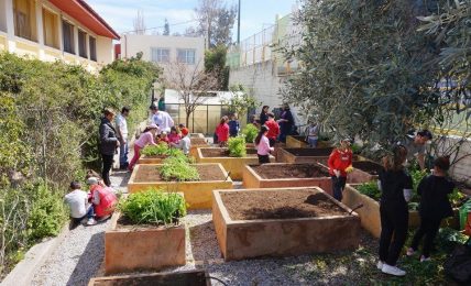 OSOS: transformando los colegios en espacios para explorar e inventar 3