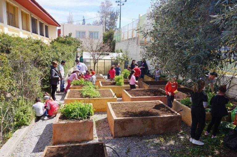 OSOS: transformando los colegios en espacios para explorar e inventar 3