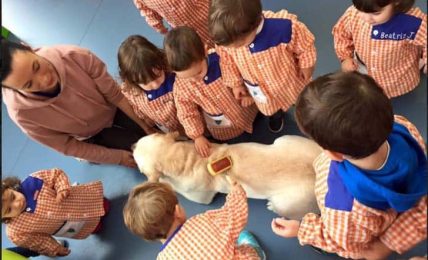 Infantil: 35 buenas prácticas educativas con TIC 44