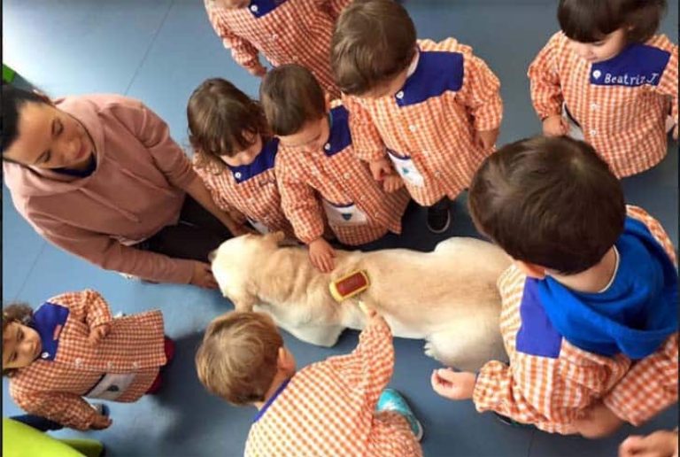 Infantil: 35 buenas prácticas educativas con TIC 44
