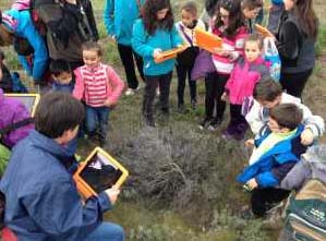 Escuela pedagogía activa