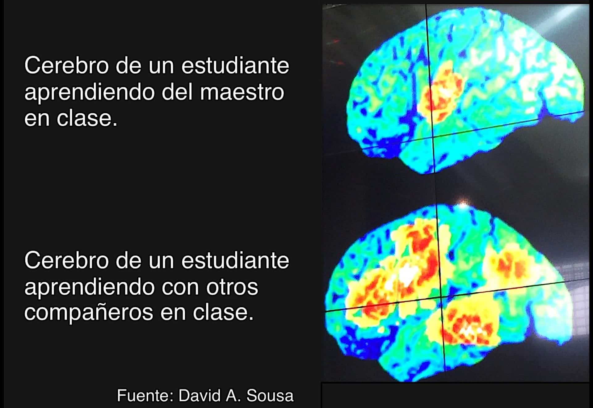 Cerebro Maestro