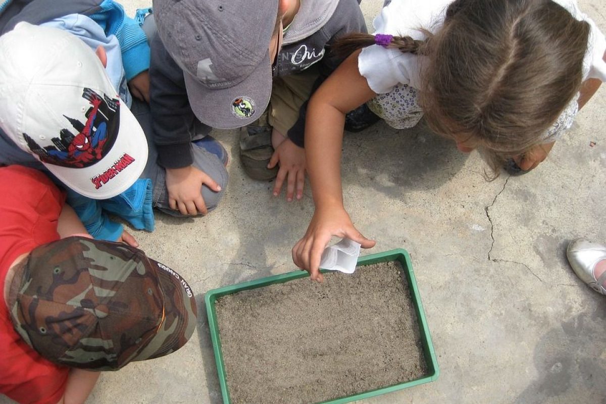 La educación ambiental: ¿una asignatura más? La educación ambiental: ¿una asignatura más? 1
