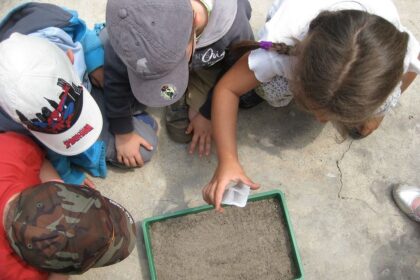 La educación ambiental: ¿una asignatura más? 1