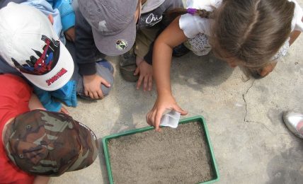 La educación ambiental: ¿una asignatura más? 1