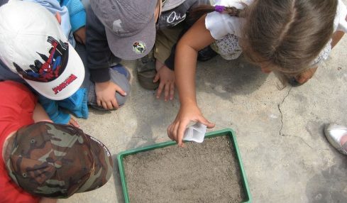 La educación ambiental: ¿una asignatura más? 1