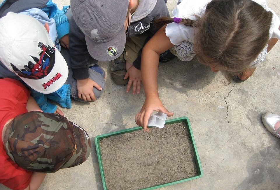 La Educación Ambiental: ¿Una Asignatura Más? 1