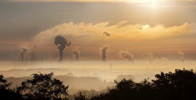 educación ambiental asignatura