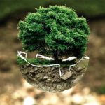 Educación Medioambiental