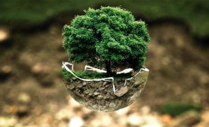 Educación Medioambiental