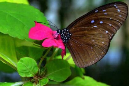 RECURSOS Medioambiente