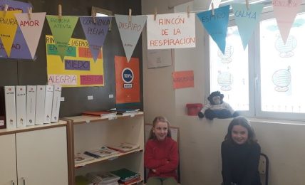 La ecología emocional como técnica para trabajar las emociones 3