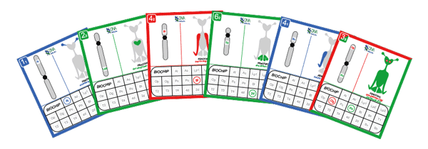 Mendel a la carta, un juego de cartas para aprender las leyes de la herencia biológica