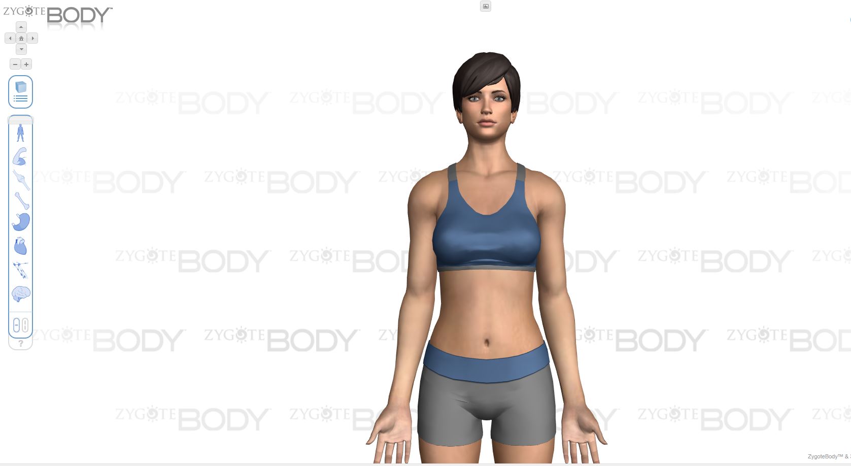 Zygote Body herramientas gratuitas para el aula