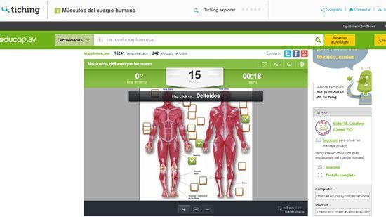 Músculos del cuerpo humano