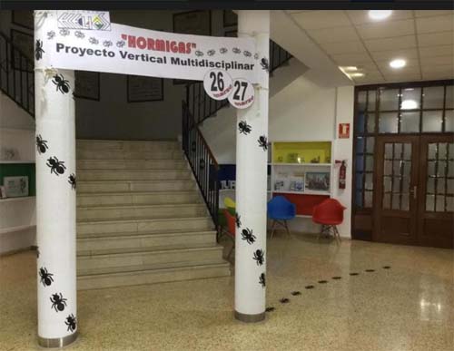 'Insectos y relaciones', un proyecto vertical multidisciplinar