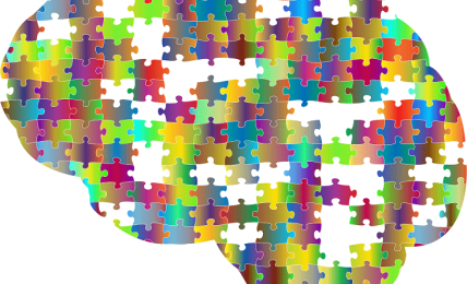 Libros sobre inteligencias múltiples
