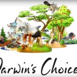 Evolución humana Darwin’s Choice