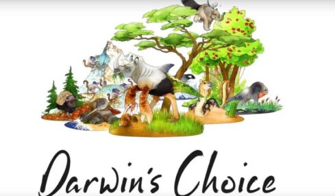 Evolución Humana Darwin’s Choice