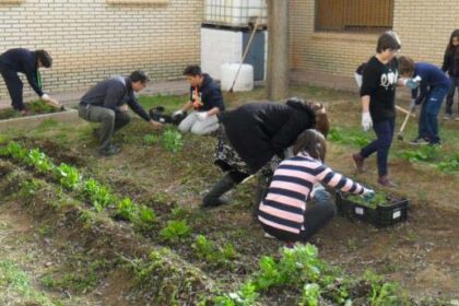 Premios Nacionales Aprendizaje-Servicio 2018, ¡anímate y participa! 3