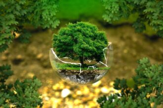 Medioambiente para primaria