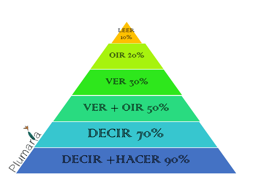 estilos de aprendizaje