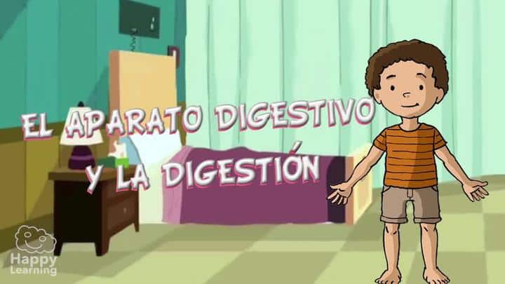 El Aparato Digestivo Y La Digestión