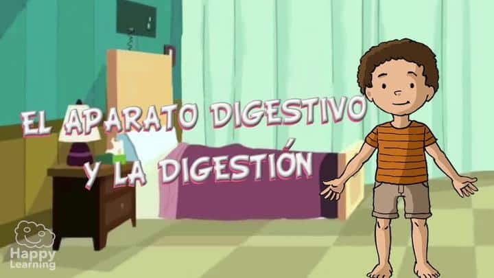 El aparato digestivo y la digestión