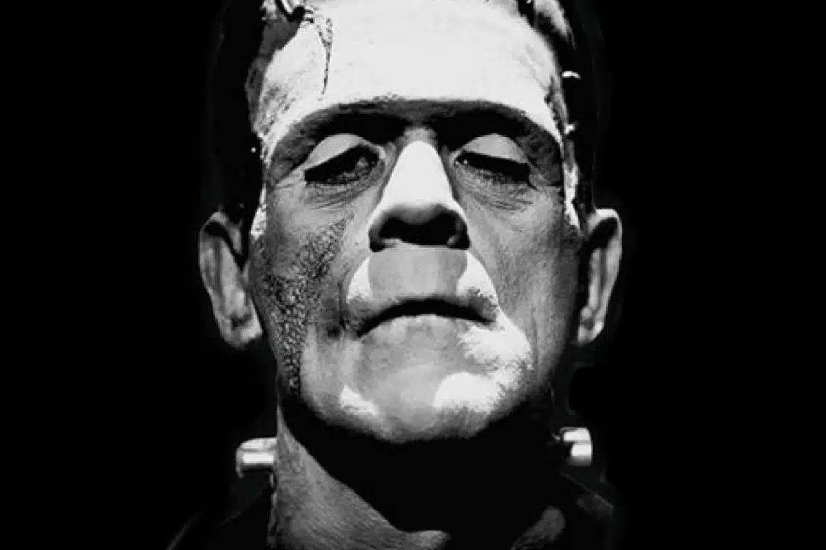 Guía didáctica para conocer y debatir sobre la figura de Frankenstein Frankenstein