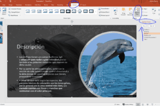 crear contenido accesible con PowerPoint