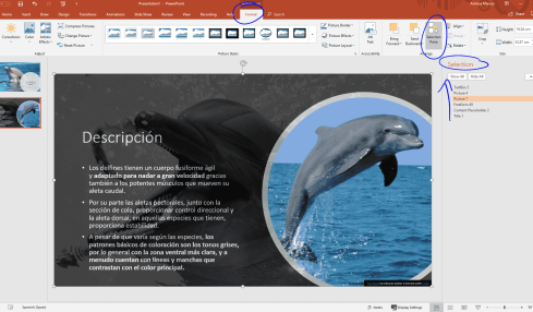 crear contenido accesible con PowerPoint