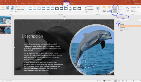 Crear Contenido Accesible Con Powerpoint