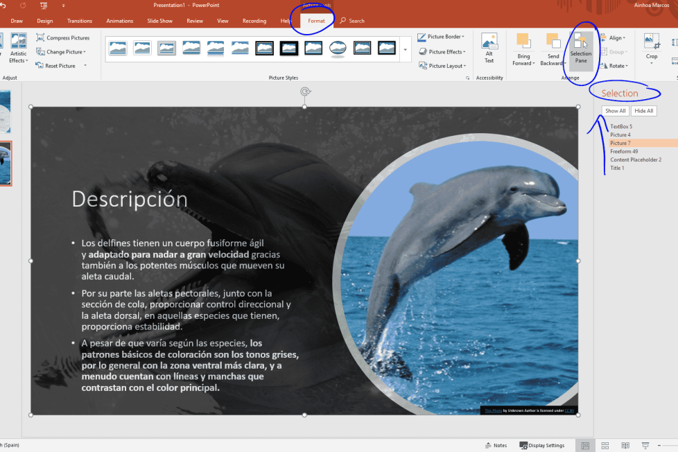 Crear Contenido Accesible Con Powerpoint