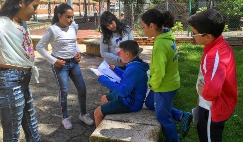 séptimo arte en primaria