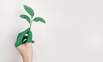 RECURSOS MEDIO AMBIENTE