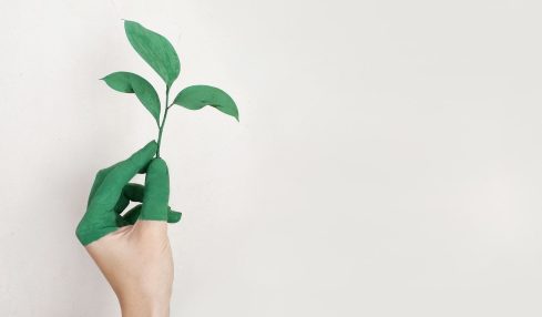 RECURSOS MEDIO AMBIENTE
