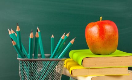 Sinónimos y antónimos en Primaria