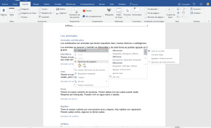 contenido accesible en Word