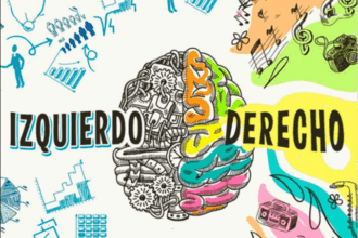 hemisferios del cerebro