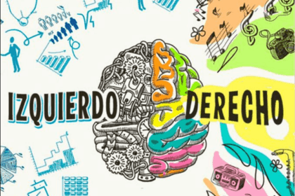 hemisferios del cerebro