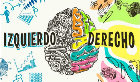 hemisferios del cerebro