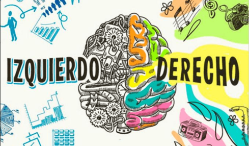 Hemisferios Del Cerebro