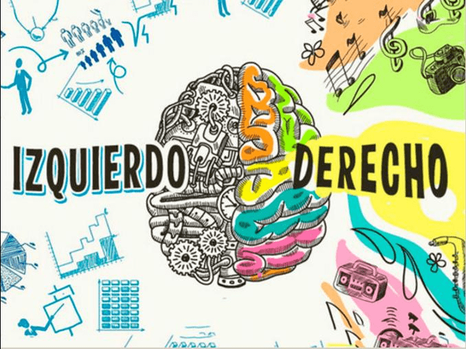 Los mejores recursos para trabajar los dos hemisferios del cerebro