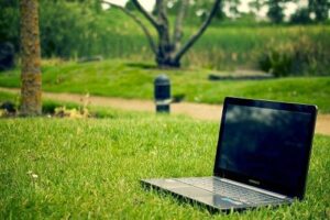programas de verano para secundaria