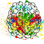 neuroeducación en las aulas